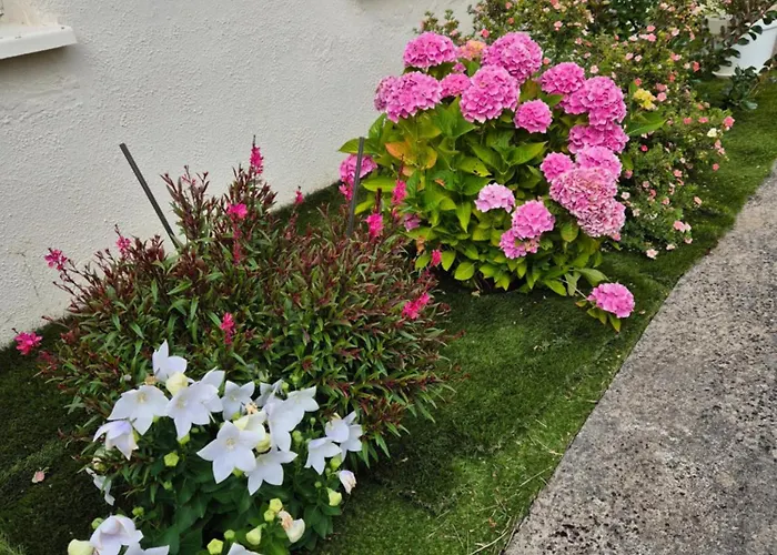 La Bagatelle شقة *